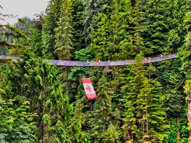 화담숲 모노레일 예약