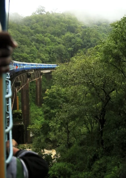 화담숲 모노레일 예약