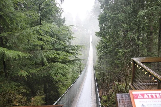 화담숲 모노레일 예약