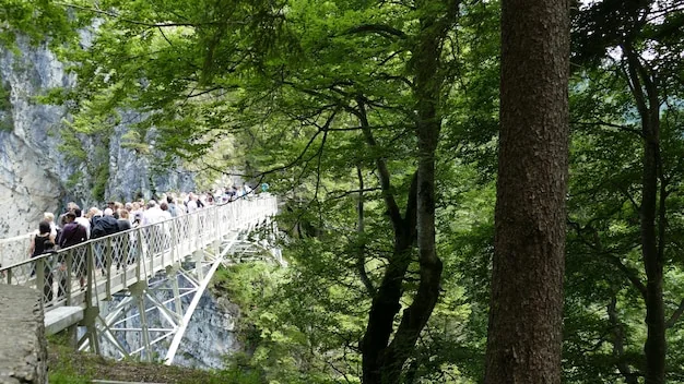 화담숲 모노레일 예약