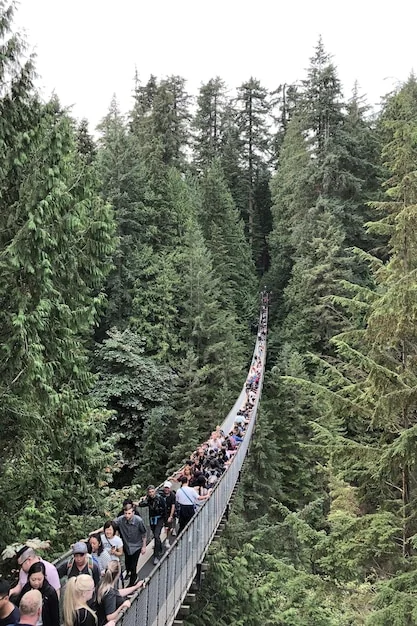 화담숲 모노레일 예약